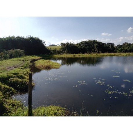 Fazenda a venda Ribeirao Preto Cassia dos Coqueiros