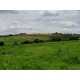 Fazenda a venda sp Ribeirao Preto Cassia dos Coqueiros