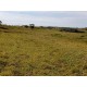 Fazenda a venda sp Ribeirao Preto Cassia dos Coqueiros