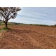 Fazenda a venda sp Ribeirao Preto Cassia dos Coqueiros