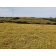 Fazenda a venda sp Ribeirao Preto Cassia dos Coqueiros