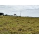 Fazenda a venda sp Ribeirao Preto Cassia dos Coqueiros