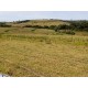 Fazenda a venda sp Ribeirao Preto Cassia dos Coqueiros