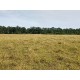 Fazenda a venda sp Ribeirao Preto Cassia dos Coqueiros
