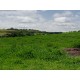 Fazenda a venda sp Ribeirao Preto Cassia dos Coqueiros