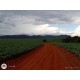 Fazenda a venda sp cana Ribeirao Preto