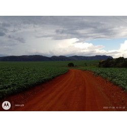 Fazenda a venda cana Ribeirao Preto