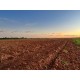 FAZENDA A VENDA to TOCANTINS 3.204 HA REGIAO ARAGUAINA DARCINOPOLIS