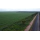 FAZENDA A VENDA to TOCANTINS 3.204 HA REGIAO ARAGUAINA DARCINOPOLIS