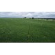 FAZENDA A VENDA to TOCANTINS 3.204 HA REGIAO ARAGUAINA DARCINOPOLIS