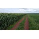 FAZENDA A VENDA to TOCANTINS 3.204 HA REGIAO ARAGUAINA DARCINOPOLIS