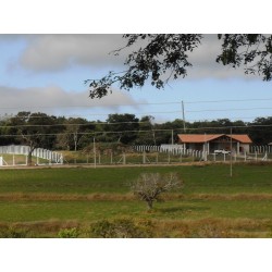 CHACARAS A VENDA sp RIBEIRAO PRETO LOTEMANETO A PARTIR 2.000M2