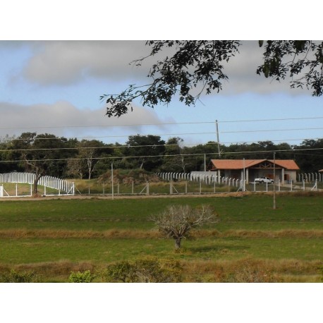 CHACARAS A VENDA sp RIBEIRAO PRETO LOTEMANETO A PARTIR 2.000M2
