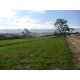 CHACARAS A VENDA sp RIBEIRAO PRETO LOTEMANETO A PARTIR 2.000M2