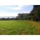 CHACARAS A VENDA sp RIBEIRAO PRETO LOTEMANETO A PARTIR 2.000M2