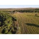 FAZENDA A VENDA MT BARRA DO GARÇA PECUARIA 5.200 HA