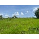 FAZENDA A VENDA MT BARRA DO GARÇA PECUARIA 5.200 HA