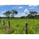 FAZENDA A VENDA MT BARRA DO GARÇA PECUARIA 5.200 HA