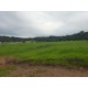 SITIO A VENDA sp RIBEIRAO PRETO 10.9 HA