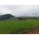 SITIO A VENDA RIBEIRAO PRETO 10.9 HA