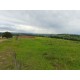 SITIO A VENDA sp RIBEIRAO PRETO 10.9 HA