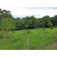 SITIO A VENDA sp RIBEIRAO PRETO 10.9 HA
