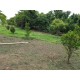 SITIO A VENDA RIBEIRAO PRETO 10.9 HA