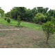 SITIO A VENDA sp RIBEIRAO PRETO 10.9 HA