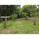 SITIO A VENDA sp RIBEIRAO PRETO 10.9 HA