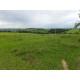 SITIO A VENDA sp RIBEIRAO PRETO 10.9 HA