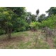 SITIO A VENDA RIBEIRAO PRETO 10.9 HA