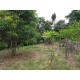 SITIO A VENDA sp RIBEIRAO PRETO 10.9 HA