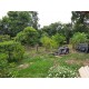 SITIO A VENDA sp RIBEIRAO PRETO 10.9 HA