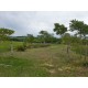 SITIO A VENDA sp RIBEIRAO PRETO 10.9 HA