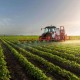 FAZENDA A VENDA CANA SUL DE GOIAS