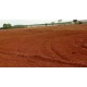 FAZENDA A VENDA go CANA SUL DE GOIAS