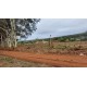 FAZENDA A VENDA sp CANA FRANCA PEDREGULHO SOJA