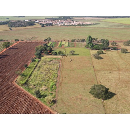 SITIO A VENDA RIBEIRAO PRETO SERRA AZUL LAZER LAVOURA PECUARIA 5.4 HA