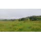 Fazenda a venda sp regiao Campinas Piracicaba Pecuaria 134 alqueires