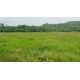 Fazenda a venda sp regiao Campinas Piracicaba Pecuaria 134 alqueires