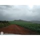 Fazenda a venda MG Regiao Passos São Joao do Gloria Lavoura Pecuaria 3.500 ha