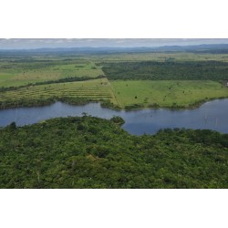 Fazenda a venda MT divisa Rondonia Pecuaria credito Carbono
