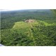 Fazenda a venda MT divisa Rondonia Pecuaria credito Carbono