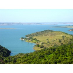 Fazenda a venda MG Sul de MInas Guape peninsula 88.8 ha