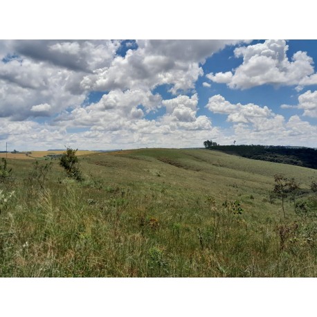 Sitio a venda mg Sacramento Tapira Pecuaria sem benfeitorias 21.55 ha