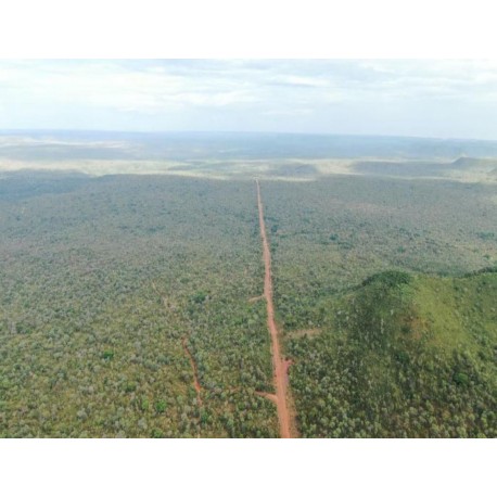 Fazenda a venda MA Barra do Gorda lavoura pecuaria