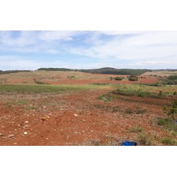 Sitio a venda MG Regiao Passos Nova Resende Lavoura pecuaria 68 ha