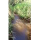 Sitio a venda sp Regiao Ribeirao Preto Cajuru lavoura Pecuaria 11 alqueires