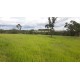 Sitio a venda sp Regiao Ribeirao Preto Cajuru lavoura Pecuaria 11 alqueires