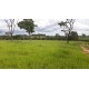 Sitio a venda sp Regiao Ribeirao Preto Cajuru lavoura Pecuaria 11 alqueires